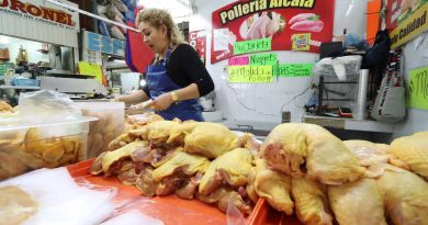 Descartan presencia de gripe aviar en Querétaro