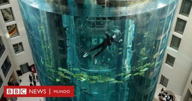 Estalla el mayor acuario cilíndrico del mundo con un millón de litros de agua y 1.500 peces en un hotel de Berlín - BBC News Mundo