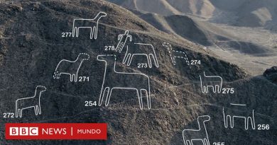 Las 168 nuevas figuras descubiertas junto a las líneas de Nazca - BBC News Mundo