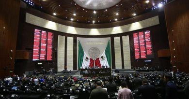 Reforma electoral. Oposición celebra rechazo en Cámara de Diputados