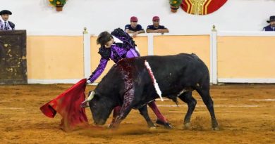 Cierran amparo vs corridas de toros en Querétaro