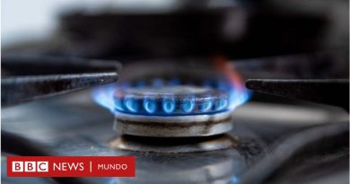 El acalorado debate sobre las cocinas de gas que se convirtió en un tema político en EE.UU. - BBC News Mundo