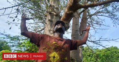 El hombre que quiere plantar 5 millones de árboles - BBC News Mundo