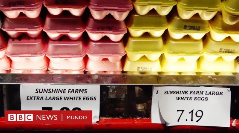 Por qué se ha disparado el precio de los huevos en EE.UU. (y se han convertido en objeto de contrabando desde México) - BBC News Mundo