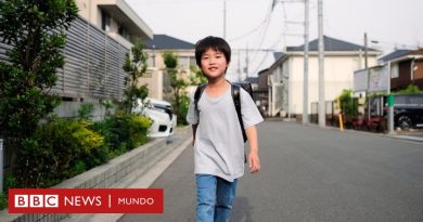 5 de los mejores países del mundo para criar a los hijos (y cuál es el mejor en América Latina) - BBC News Mundo