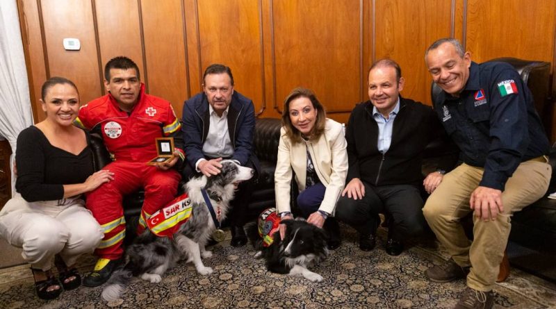 Proyectan escuela para perros rescatistas en Querétaro