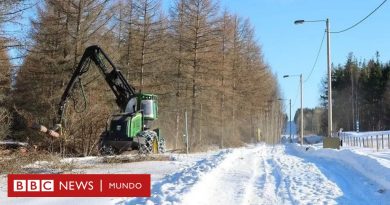 Finlandia empieza a construir una valla en la frontera con Rusia para evitar la llegada de migrantes tras la guerra en Ucrania - BBC News Mundo
