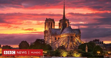 Las avanzadas técnicas medievales que usa París para restaurar la catedral de Notre Dame tras el incendio - BBC News Mundo