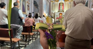 Templos católicos en Querétaro celebran el Domingo de Ramos