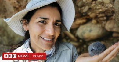 Yuliana Bedolla, la científica mexicana premiada en Londres por proteger a las 