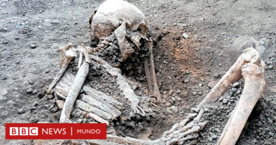 Lo que revelan los dos esqueletos hallados en las ruinas de Casa de los Amantes de Pompeya - BBC News Mundo