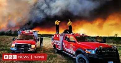 Cuán grandes son los incendios que azotan Canadá y llenan de humo Nueva York - BBC News Mundo