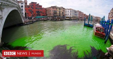 Descubren por qué las aguas se tornaron verde fosforescente en un tramo de los canales de Venecia - BBC News Mundo