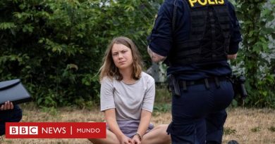 Greta Thunberg: Suecia acusa a la activista de bloquear un puerto petrolero - BBC News Mundo