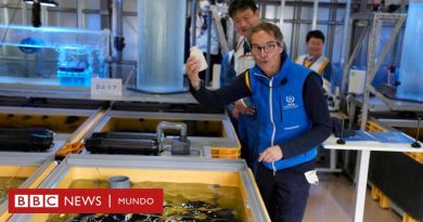 La contundente respuesta de China al plan de Japón para desechar las aguas residuales de la planta nuclear de Fukushima en el océano - BBC News Mundo