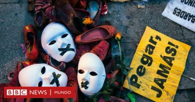 Vox: qué diferencia hay entre la violencia de género y la violencia intrafamiliar de la que habla el partido de extrema derecha en España - BBC News Mundo