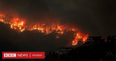 Incendios en Canadá: las imágenes que muestran el avance del fuego en la provincia de Columbia Británica donde fue declarado estado de emergencia   - BBC News Mundo