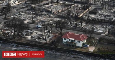 Incendios en Hawái: la impresionante imagen de la casa que sobrevivió a los incendios de Maui - BBC News Mundo