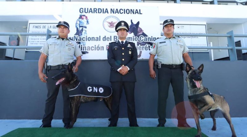 Conmemoran el Día Nacional del Binomio Canino en Querétaro