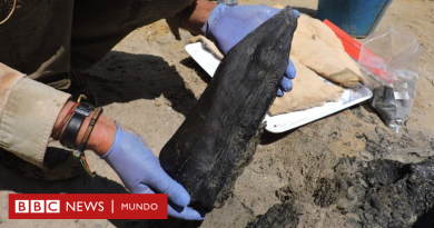 La estructura de madera de 500.000 años que cambia lo que sabíamos sobre nuestros ancestros - BBC News Mundo