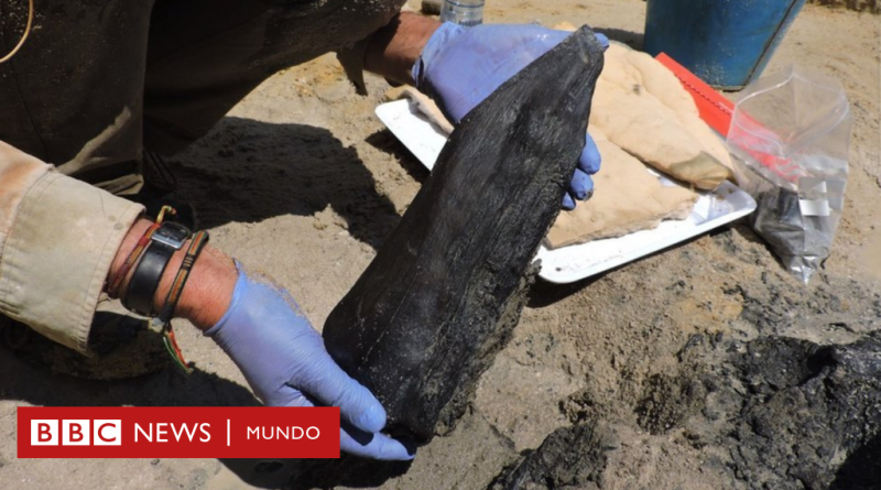 La estructura de madera de 500.000 años que cambia lo que sabíamos sobre nuestros ancestros - BBC News Mundo