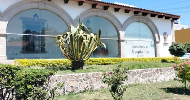 Querétaro es líder nacional en trasplantes de órganos