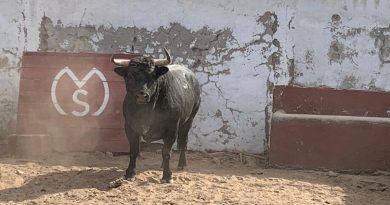 Alcanzaría a Querétaro fallo taurino de la Corte
