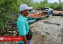 China: las oscuras empresas  de la nación asiática que controlan partes del territorio de Camboya - BBC News Mundo