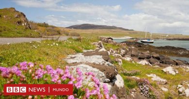 Eigg, la isla en Escocia que fue comprada por sus habitantes y es un ejemplo de vida sostenible - BBC News Mundo