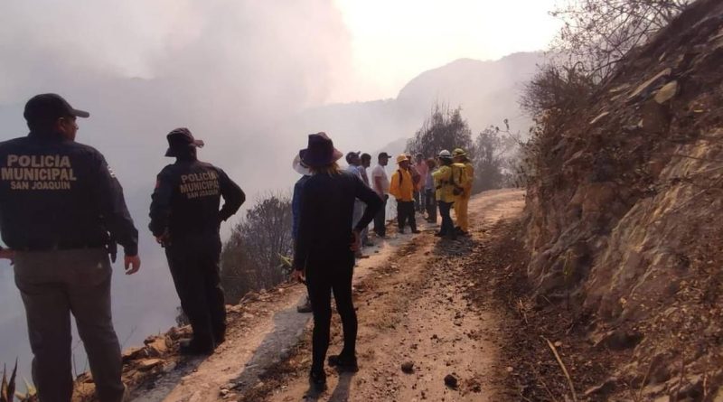 Piden víveres para personas afectadas por incendio forestal en Cadereyta