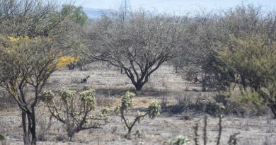 Querétaro es primero en sequía excepcional