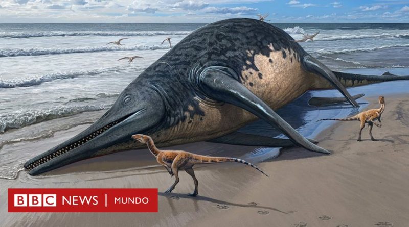 Cómo era el antiguo reptil marino del tamaño de dos autobuses cuyo fósil fue hallado en una playa de Reino Unido - BBC News Mundo