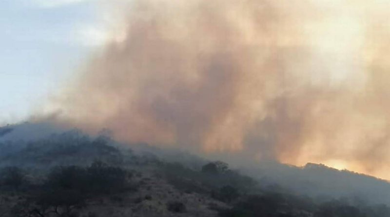 Controlan fuego en 70 hectáreas de Amealco
