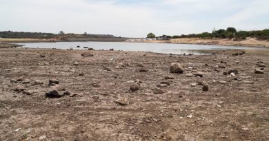 En marcha plan emergente contra la sequía