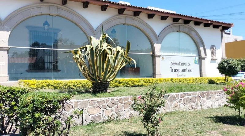 Esperan 75 personas un trasplante, en Querétaro