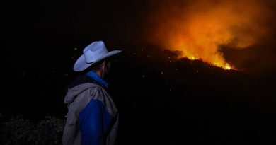 Van 29 incendios forestales en Querétaro... y se esperan más