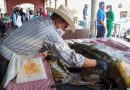 Alistan ruta de la barbacoa y el pulque en Punto México