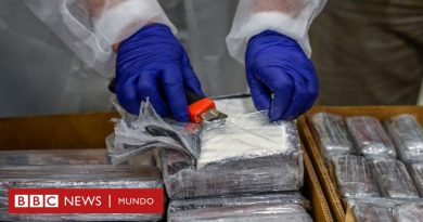 Por qué hay sobreoferta de coca en América Latina (y las repercusiones de esto en la región y el mundo) - BBC News Mundo