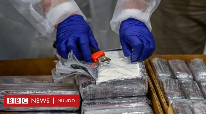Por qué hay sobreoferta de coca en América Latina (y las repercusiones de esto en la región y el mundo) - BBC News Mundo